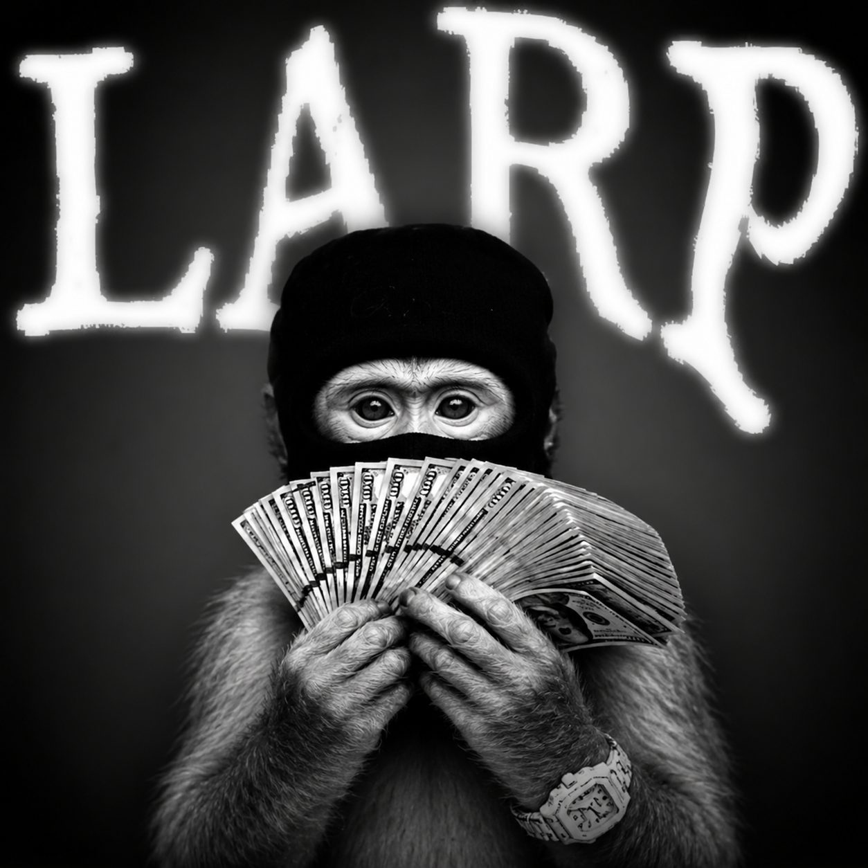 LARP APE in a black mask holding cash